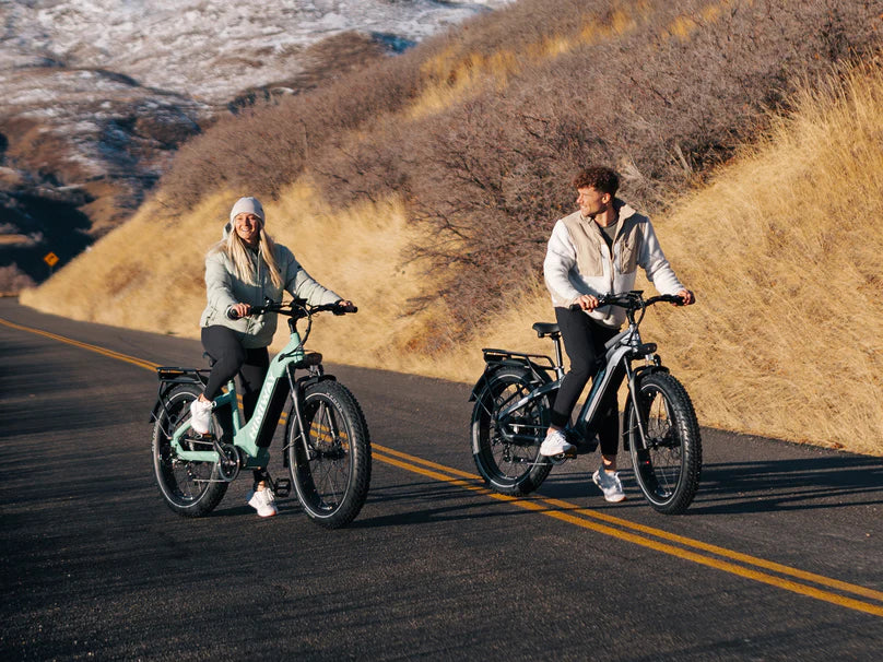D5 (Zebra) / Bicicleta Eléctrica Premium Todoterreno con Neumáticos Anchos - Andiani