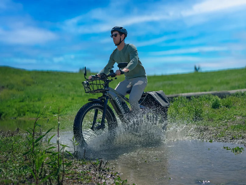 D5 (Zebra) / Bicicleta Eléctrica Premium Todoterreno con Neumáticos Anchos - Andiani