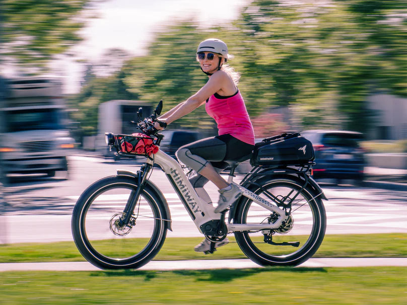 D5 (Zebra) / Bicicleta Eléctrica Premium Todoterreno con Neumáticos Anchos - Andiani