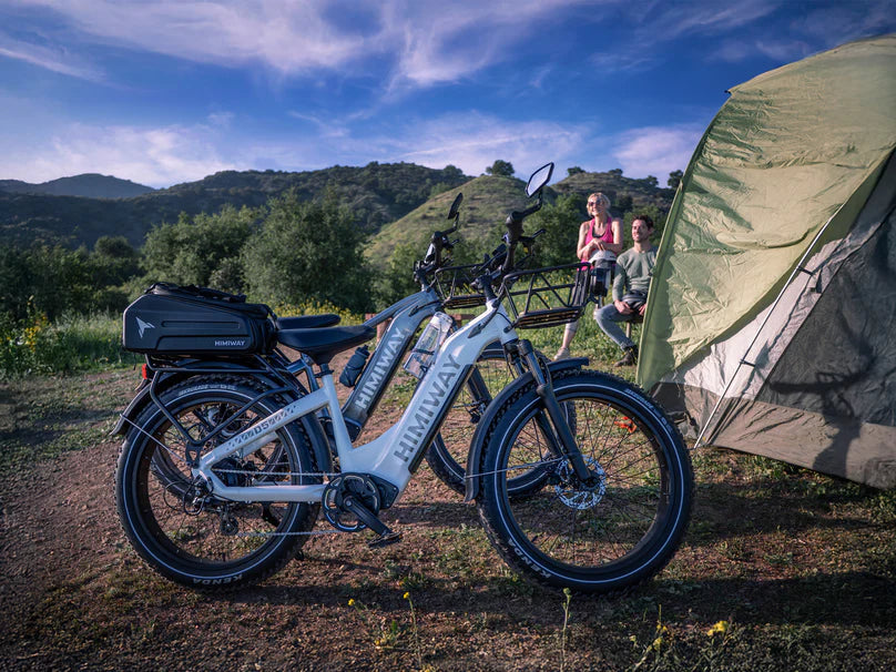 D5 (Zebra) / Bicicleta Eléctrica Premium Todoterreno con Neumáticos Anchos - Andiani