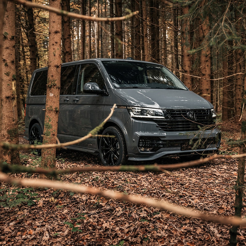 T6.1